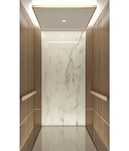 1835812871744417-space-efficient-home-lifts-for-villas-he-v03 Space-efficient Home Lifts for Villas - Image 1