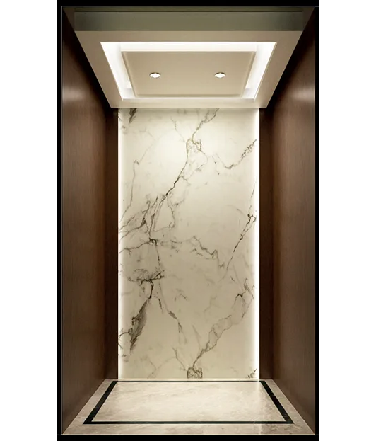 1839088820545758-hayashimu-space-saving-villa-elevators-for-modern-residences Space-Saving Villa Elevators for Modern Residences - Image 1