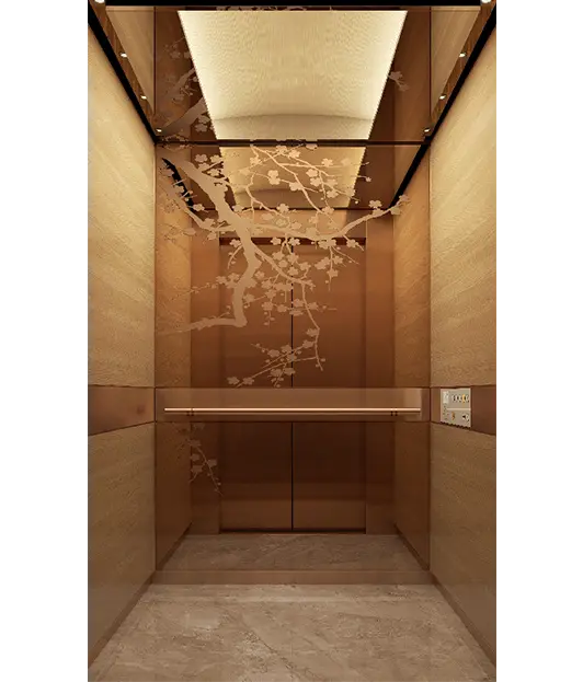 1839090683382748-energy-efficient-home-elevators-,-eco-friendly-villa-lift Energy-Efficient Home Elevators | Eco-Friendly Villa Lift - Image 1