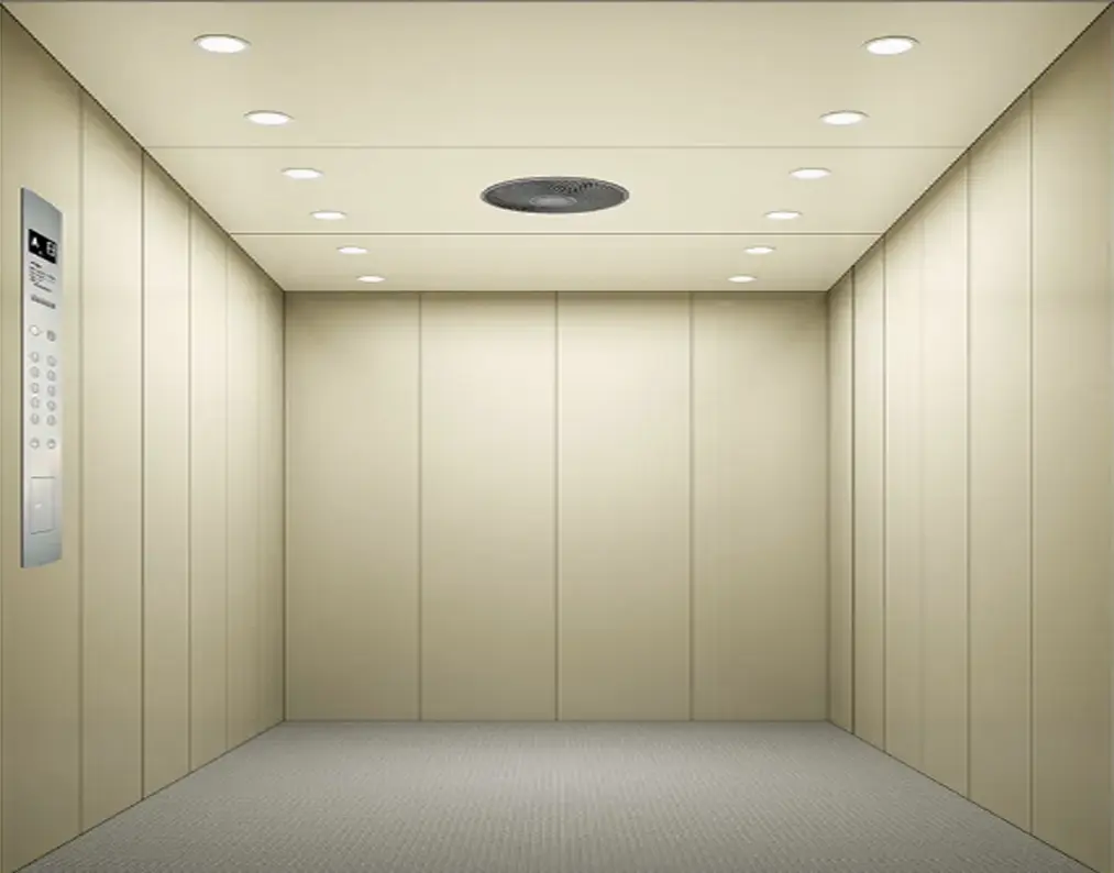 1839443654033584-custom-cargo-lifts-for-heavy-goods Custom Cargo Lifts for Heavy Goods - Image 1