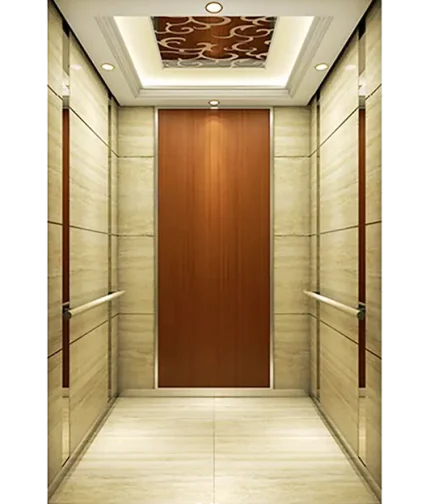 Modern Textured Passenger Elevator