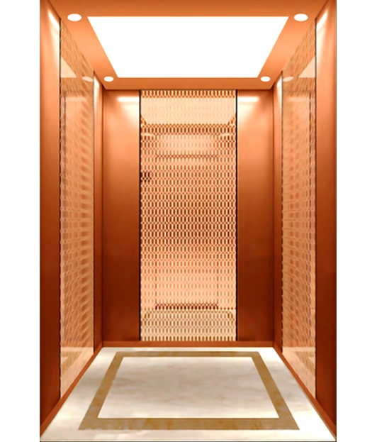 1844580250934844-premium-rose-golden-passenger-elevators-he-p37 Premium Rose Golden Passenger Elevator - Image 1