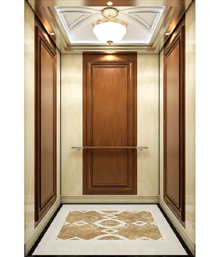 Sandblasted Stainless Steel Plated Passenger Elevator