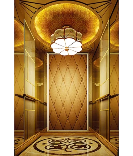 Titanium Golden Passenger Elevator