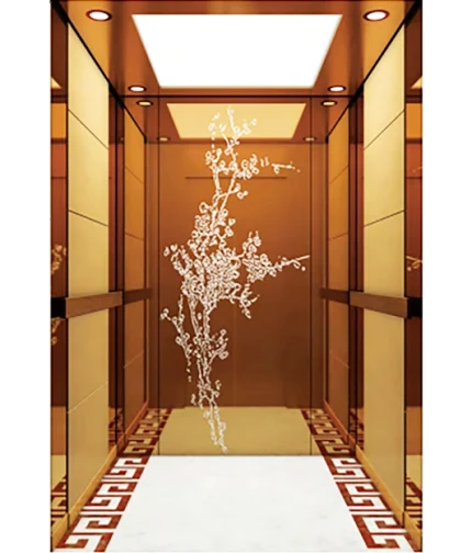 Wood Grain Stainless Steel Framed Passenger Elevator
